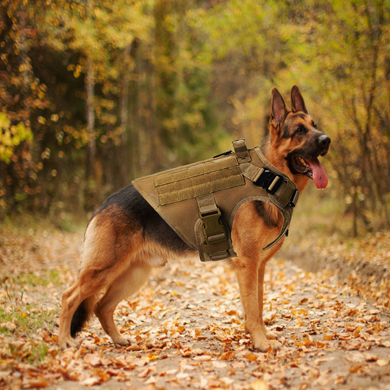 Expedition Harness Set – Complete Outdoor Adventure System