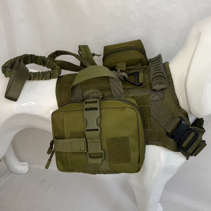 Expedition Harness Set – Complete Outdoor Adventure System