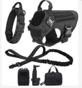 Expedition Harness Set – Complete Outdoor Adventure System