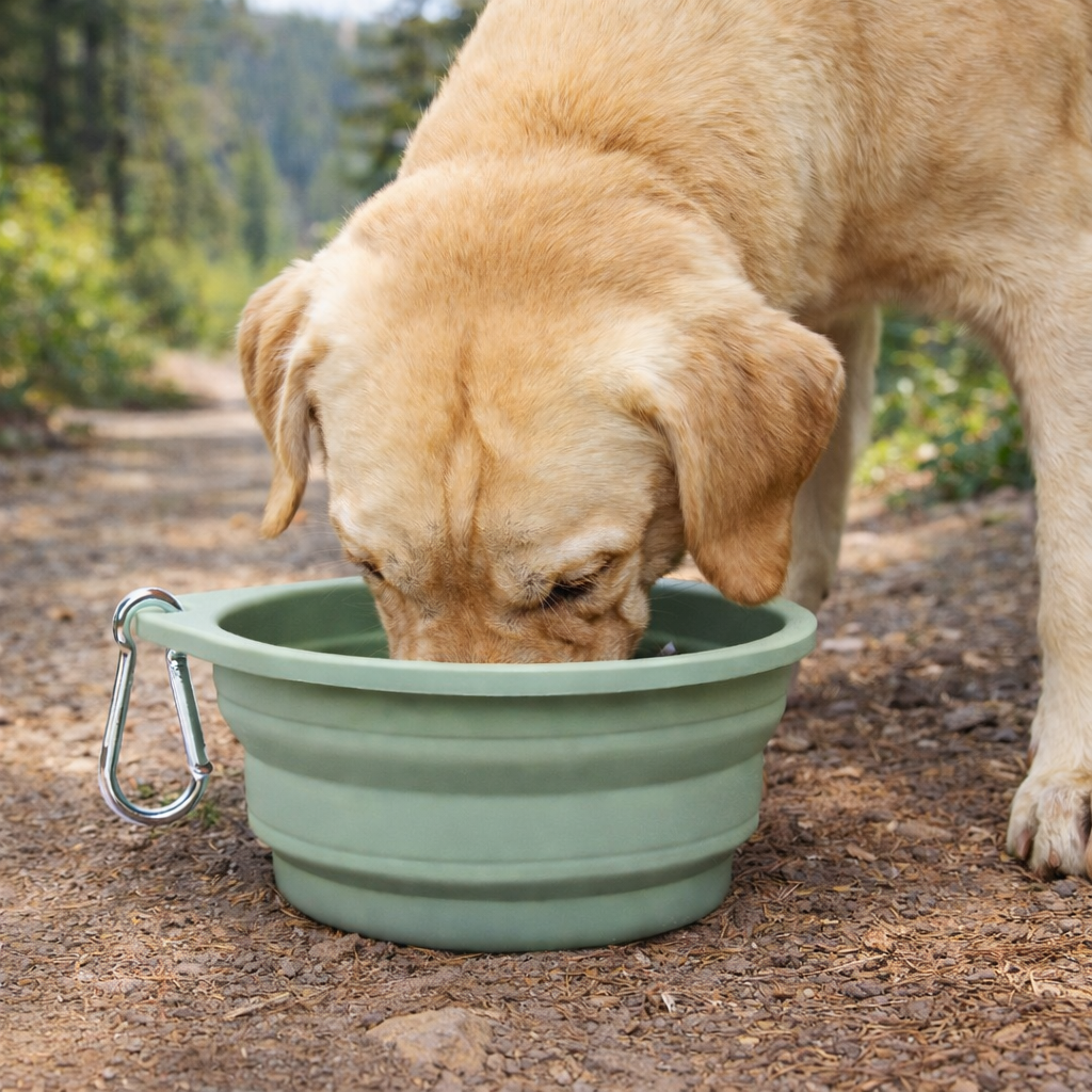 TrailPaws Collapsible Dog Travel Bowl | Portable Silicone Water Bowl
